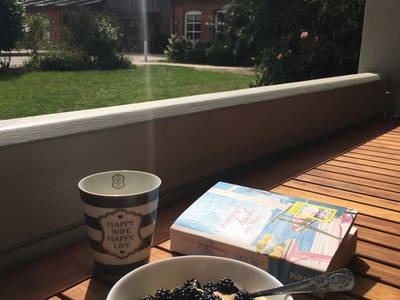 Bild 17 aus  Ferienhof Sell Bauernhofurlaub Ostsee Ponys