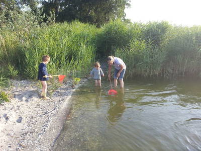 Bild 4 aus  Thiesen-Hof