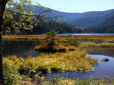 Bild 14 aus  Paulas Bauernhof im Bayerischen Wald
