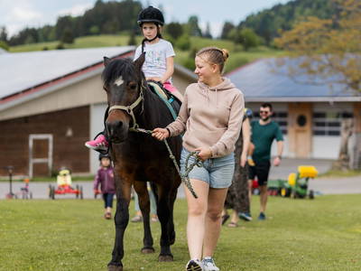 Bild 30 aus  Schädlerhof