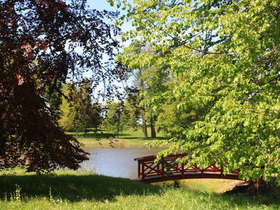 Bild 25 aus  Schloss & Gut Ulrichshusen