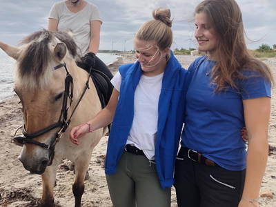 Bild 55 aus  Ferienhof Rauert