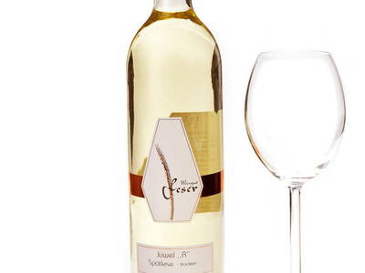 Bild 2 aus  FamilienWeinGut Feser mit Ferienwohnungen, Vinothek und Erlebnis am Jakobsweg-Rheinhessen