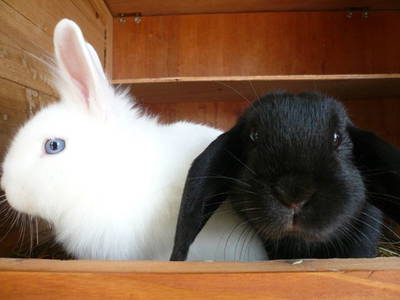 Bild 15 aus  Brunnenhof Hiss