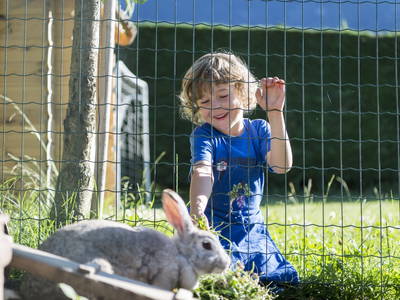 Bild 11 aus  Traubenhof    Pures Leben-Echt und natürlich