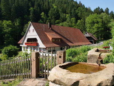 Bild 2 aus  Hanselishof