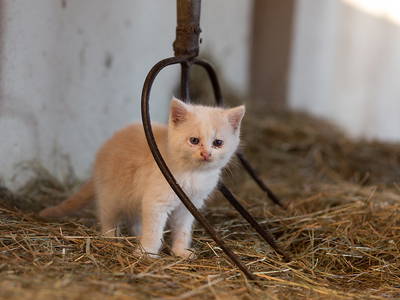 Bild 20 aus  Ferienwohnung Donebauer