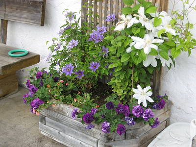 Bild 6 aus  Biohof-Rechenmacher GbR