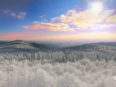 Bild 71 aus  Paulas Bauernhof im Bayerischen Wald