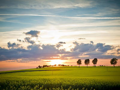 Bild 17 aus  Körnermühle