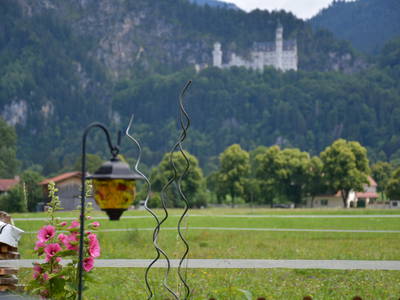 Bild 46 aus  Augustinerhof