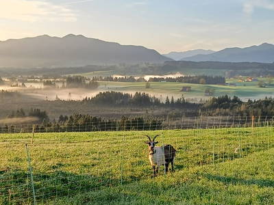 Herbstmorgen mit Blick ins Ammertal
