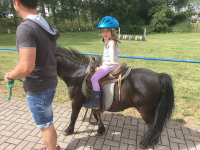 Bild 12 aus  Pension-Landhaus "Zum Ross"