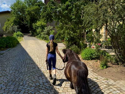 Bild 13 aus  Georgihof