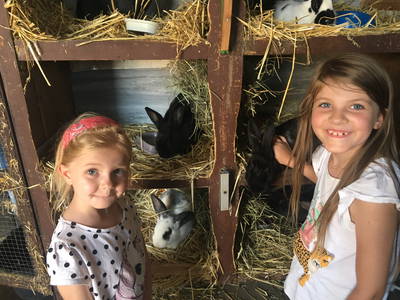 Bild 14 aus  Pension-Landhaus "Zum Ross"