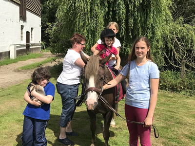 Bild 15 aus  Nübbelhof