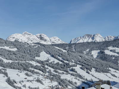 Bild 48 aus  Ferienwohnungen Perfeldhof