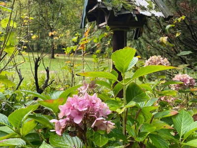 Bild 17 aus  Beekenhof