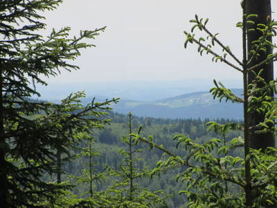 Bild 11 aus  Holzhäusl am Nationalpark