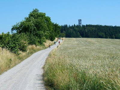 Wanderung oder Radtour zum Weifbergturm in Hinterhermsdorf