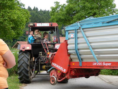 Gras holen mit der Bäuerin.