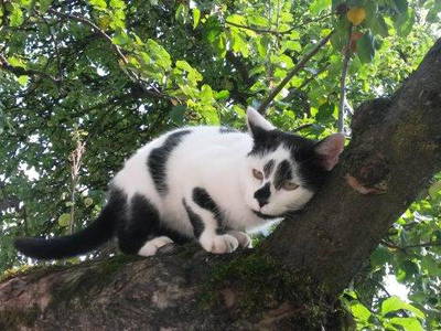 Bild 22 aus  Marksteinhof