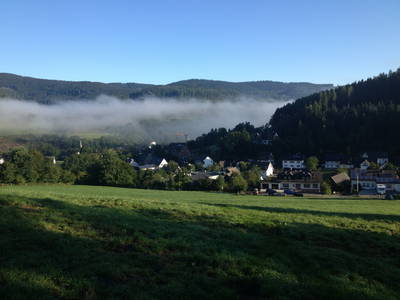 Bild 38 aus  Ferienbauernhof Voß