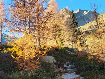 Bild 27 aus  Haus Steger