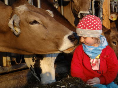 Bild 3 aus  Ferienhof Herz im Oberallgäu
