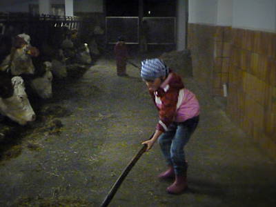 Bild 27 aus  Ferienwohnung Donebauer