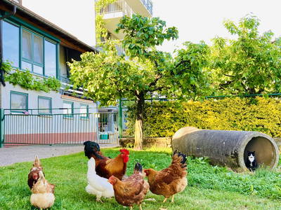 Bild 11 aus  Zum Wolffenturm