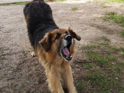 Bild 12 aus  Eichenhof Grauel