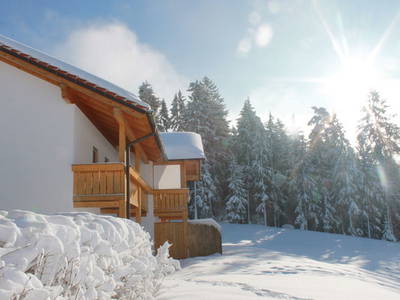 Bild 31 aus  Erlebnisbauernhof Achatz