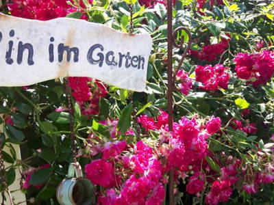 Bild 6 aus  Ferienhof Nielson