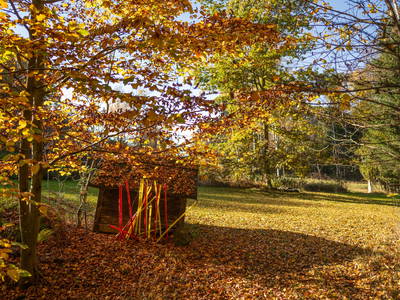 Bild 41 aus  Grashöfle