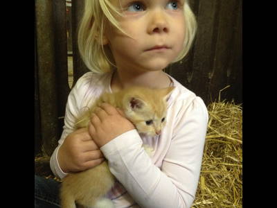 Bild 28 aus  Ferienhof Thomsen