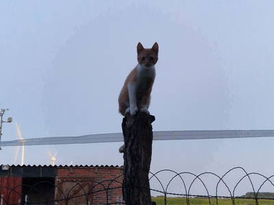 Bild 62 aus  Küstenhof Oldewurtel