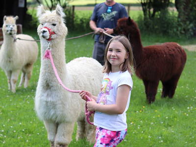 Bild 21 aus  Ferienhof Feinen