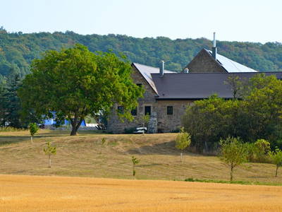 Bild 26 aus  Gutshof Gress