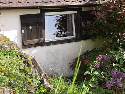 Bild 8 aus  Urige Hütte zwischen Wald und Reben