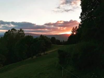 Bild 11 aus  Spörlhof