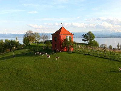 Bild 13 aus  Obst- und Ferienhof Ragg