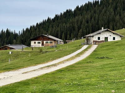 Bild 56 aus  Lochner Alm