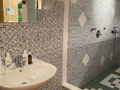 Bild 46 aus  Seewaldhof