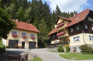 Wenzel aus Metnitz
