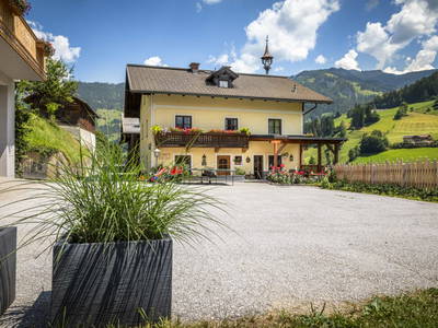 Bild 60 aus  Schaidreithof