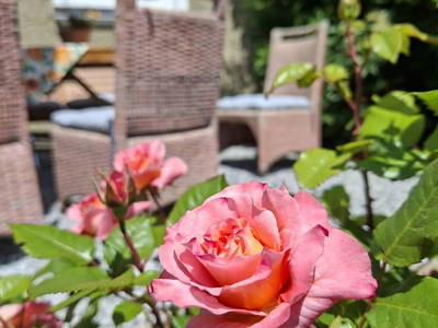 Bild 13 aus  Ferienhaus Ottenschlag