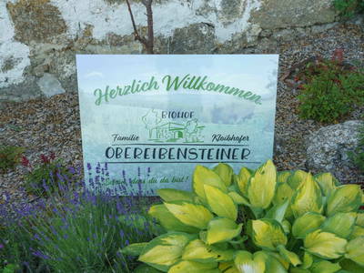 Bild 117 aus  Biohof Obereibensteiner