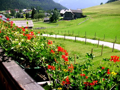 Bild 20 aus Almhaus Perfler