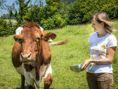 Bild 17 aus  Ferienhaus Oberpremgut